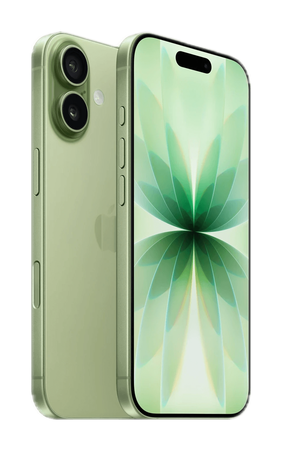 iPhone 17, back and front,