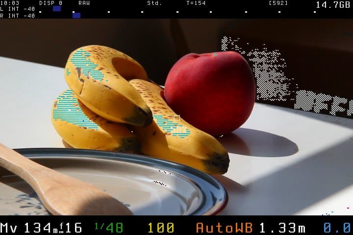 Magic Lantern zebra overlay and status bars on a Canon camera's live view screen